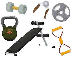 Fitness Equipments