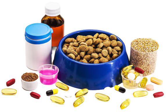 Vitamins & Supplements