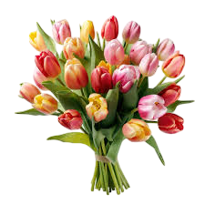 International-Womens-Day