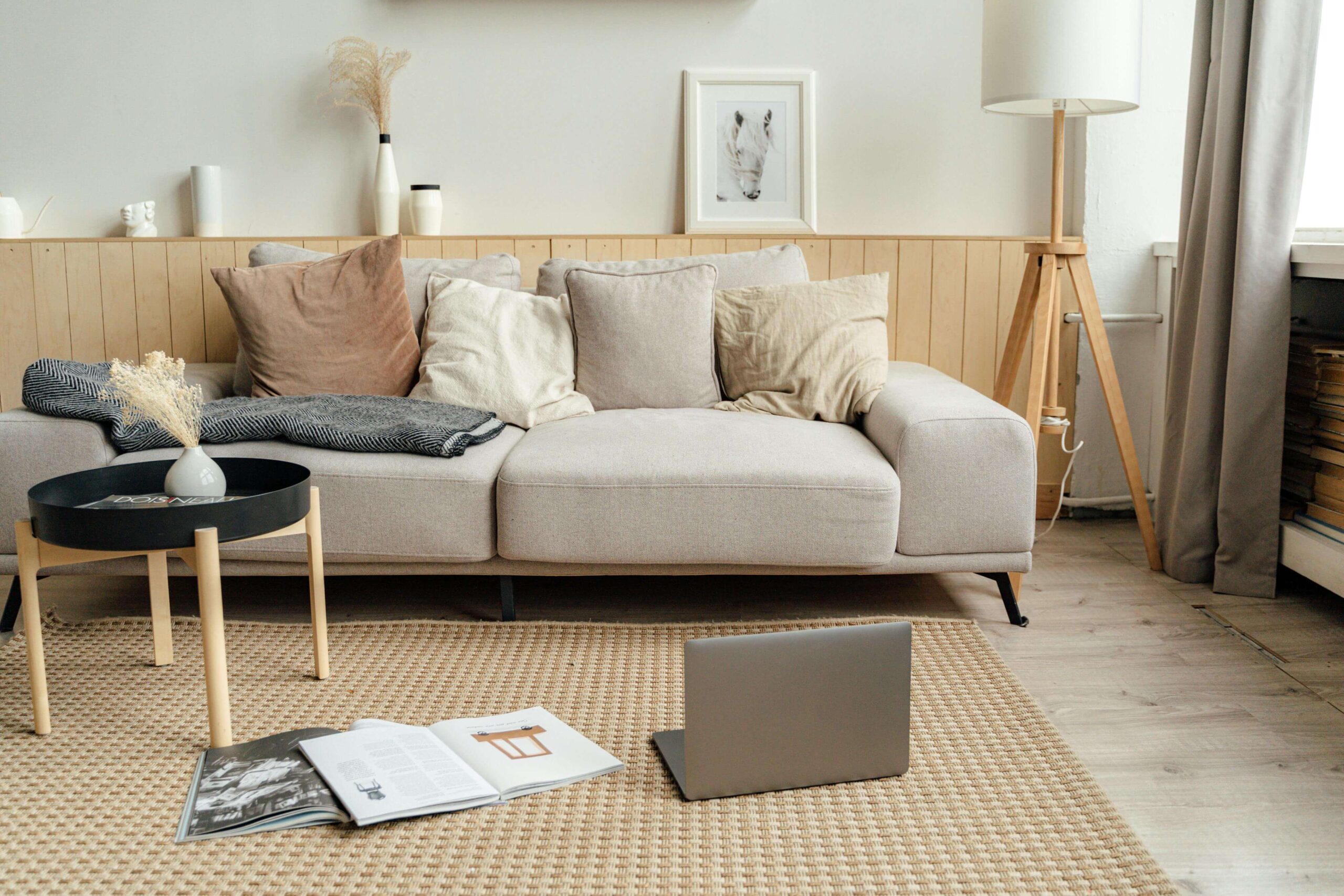 interior design styles: to explain scandinavian style