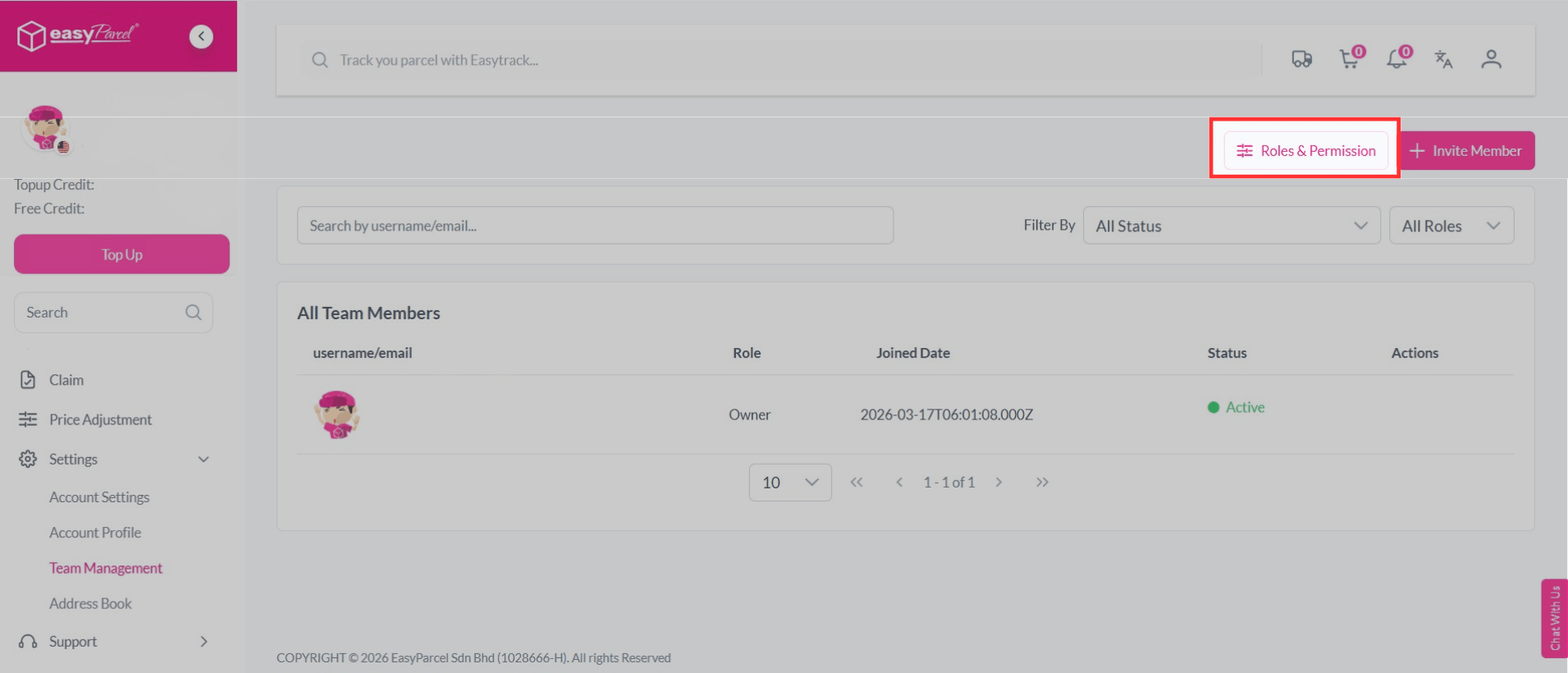Team management, role and permission