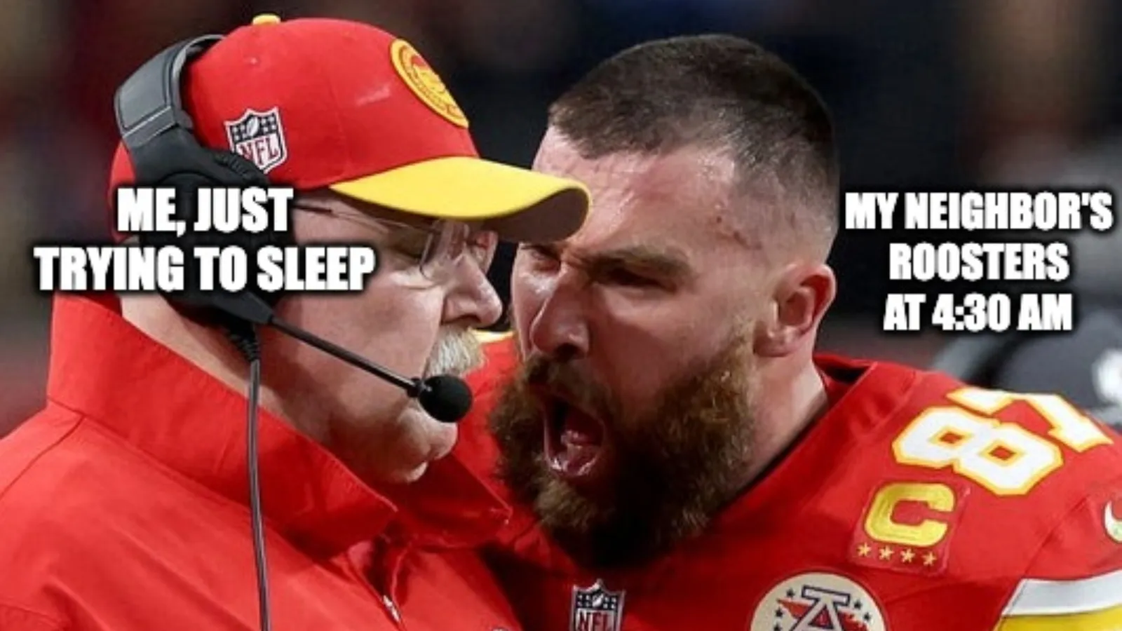 hilarious-travis-kelce-meme