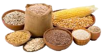 Grains