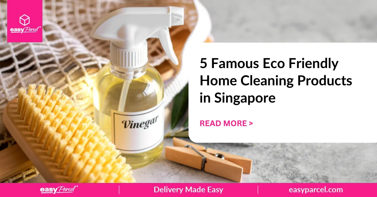 5 Famous Eco Friendly Home Cleaning Products in Singapore